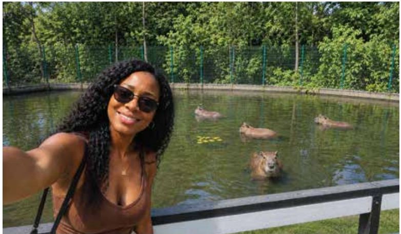 Safari Eco Parks