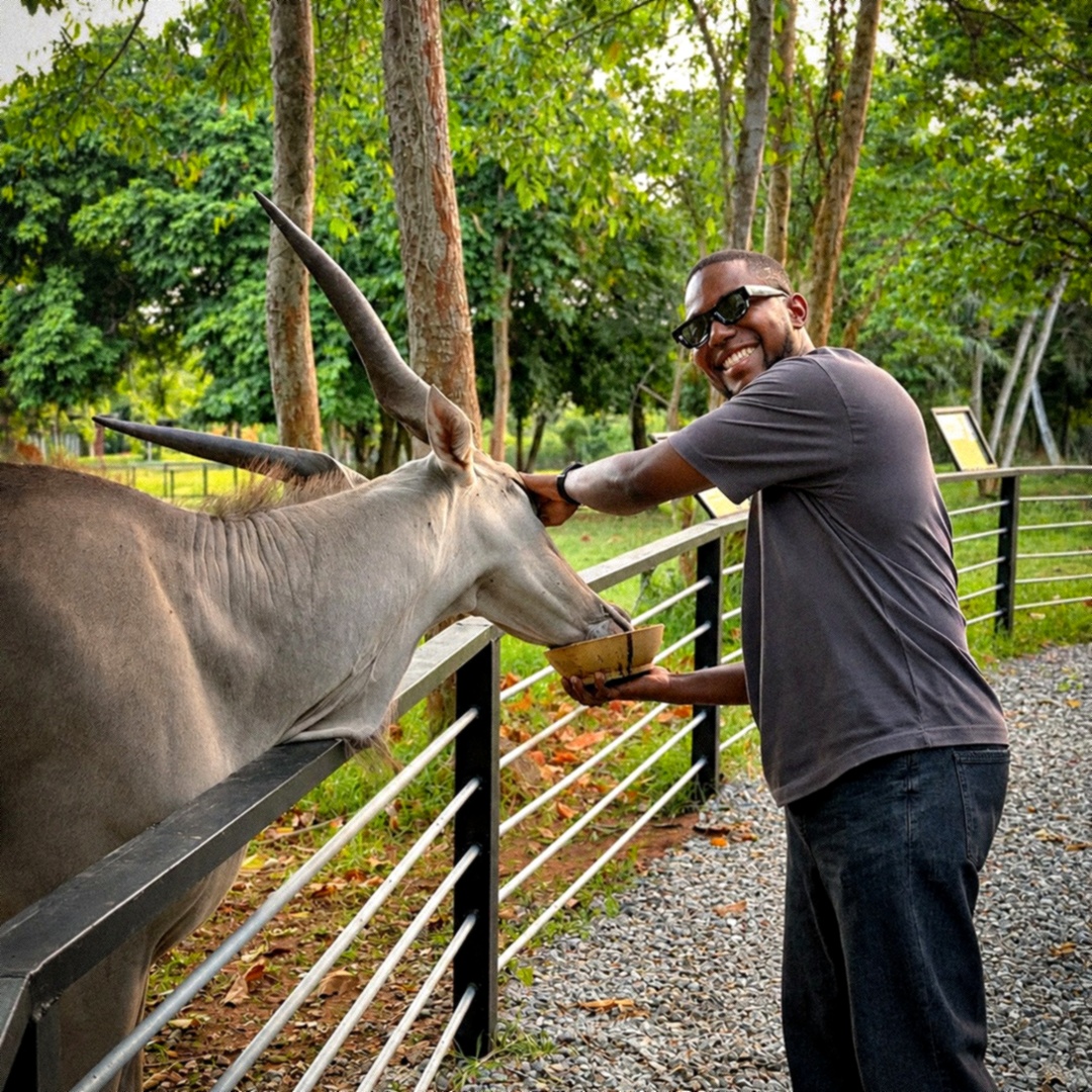 Hand Feeding